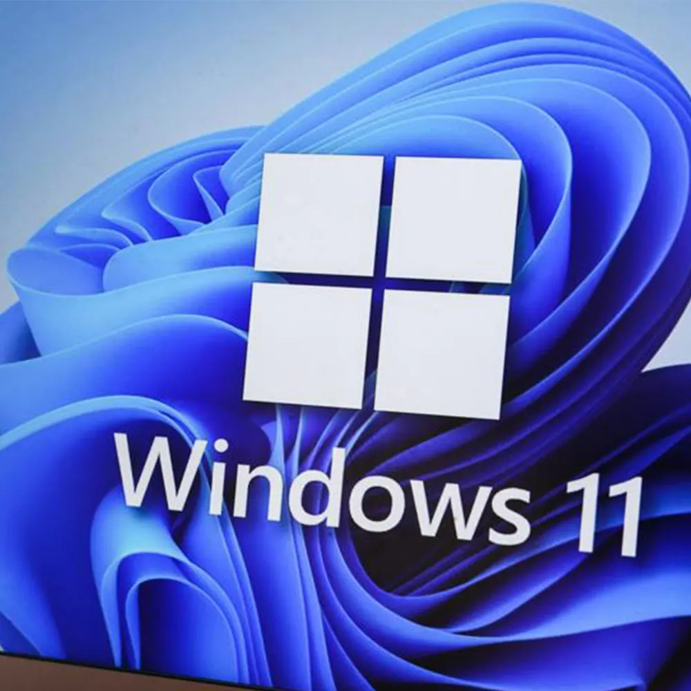 Professional Windows installation and system setup service